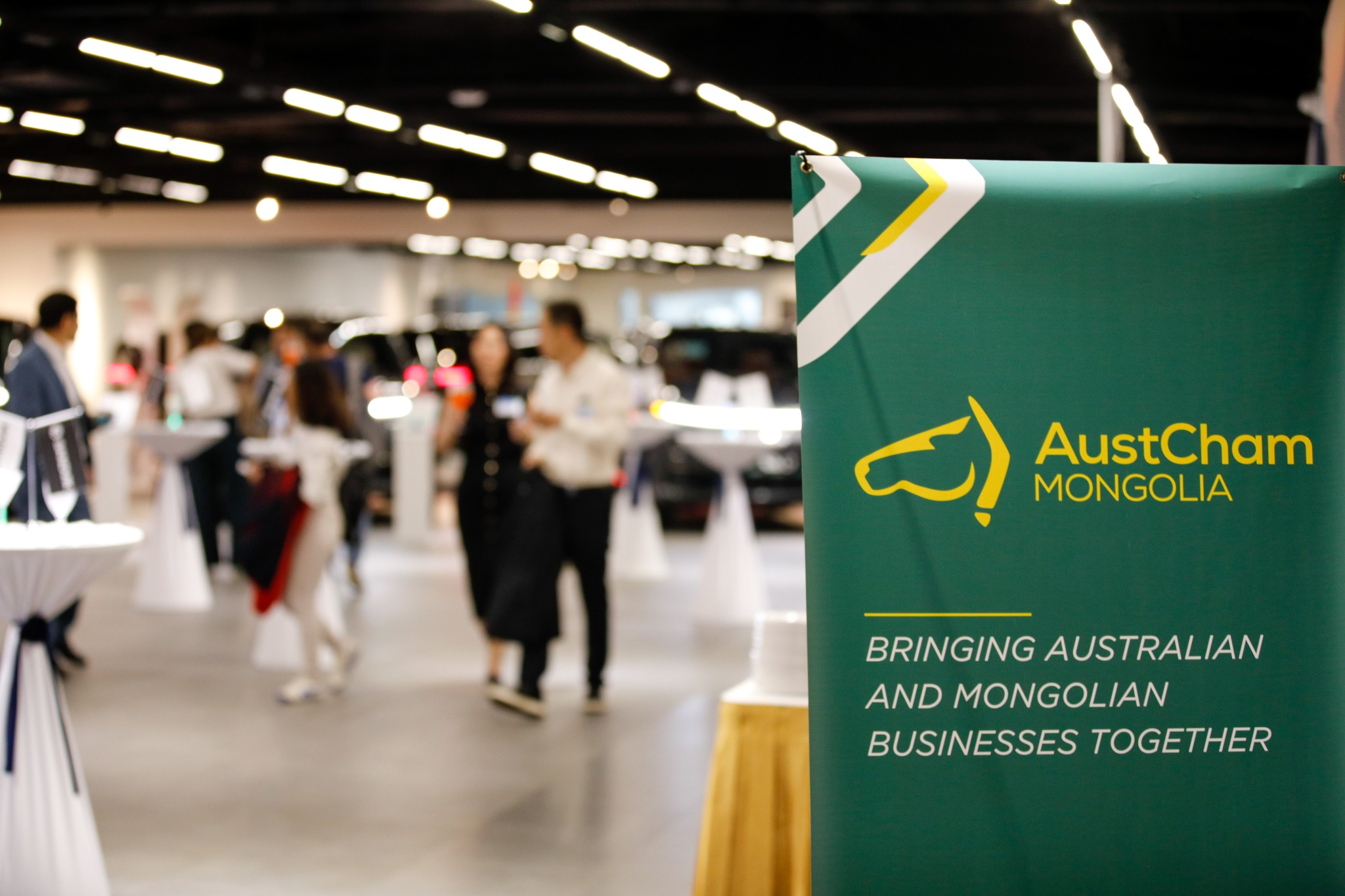 513460824_1120345400128288_7923280197929127448_n 513460824_1120345400128288_7923280197929127448_n