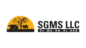 SGMS LLC